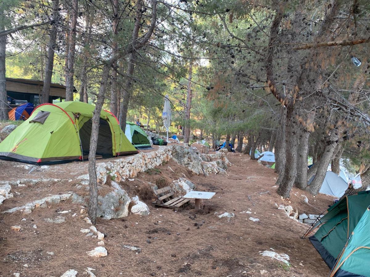 Pine Side Camp Hotel Himare Exterior foto